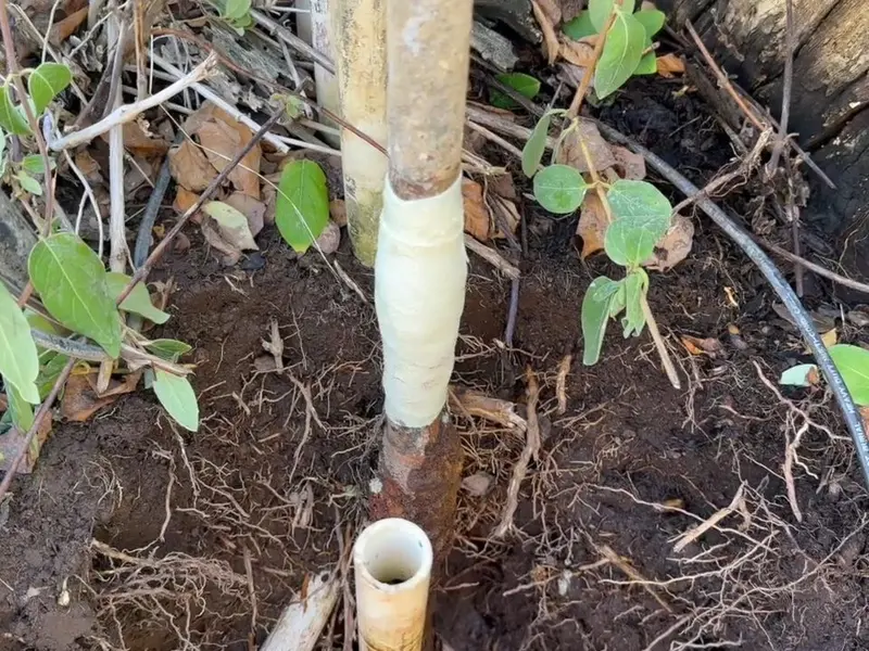 Exposed service line pipe during replacement work for Lead Service Line Replacement in Lebanon, PA (Lead Service Line Replacement in Lebanon, PA detail)