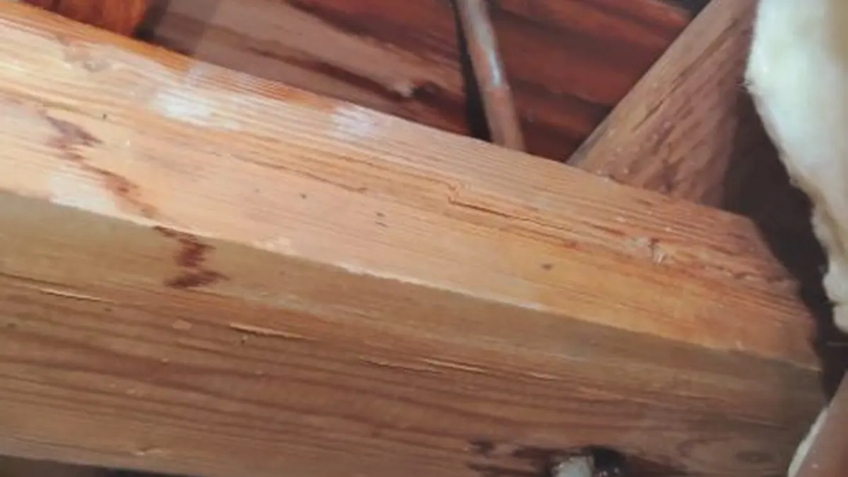 Leak detection tool or exposed pipe leak area illustrating Plumbing Tips for Older Lebanon Homes