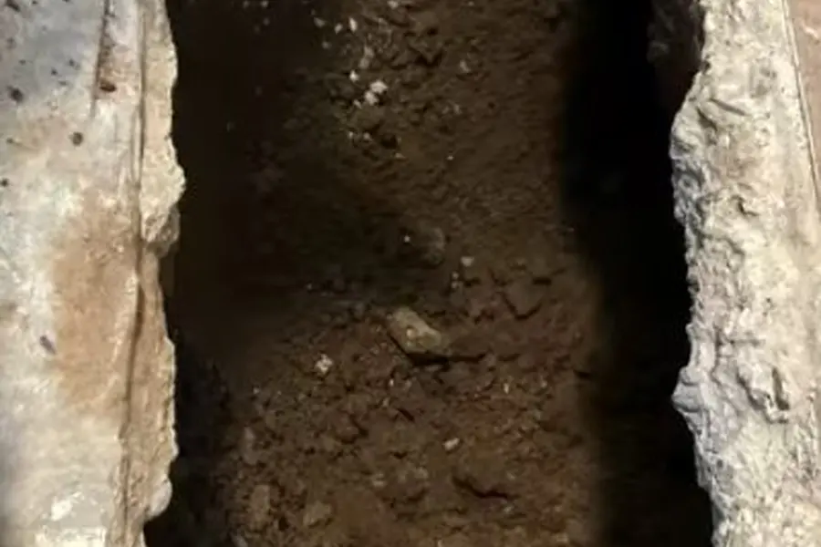Sewer pipe repair or trenchless lining equipment illustrating Tree Roots and Old Sewer Laterals in Lebanon (Tree Roots and Old Sewer Laterals in Lebanon closeup)